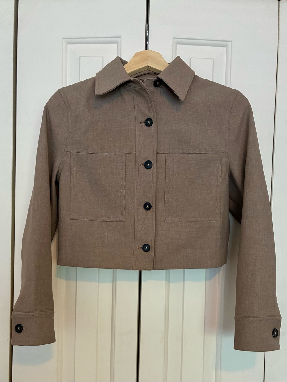 Aritzia Cropped Taupe Button-Front Jacket